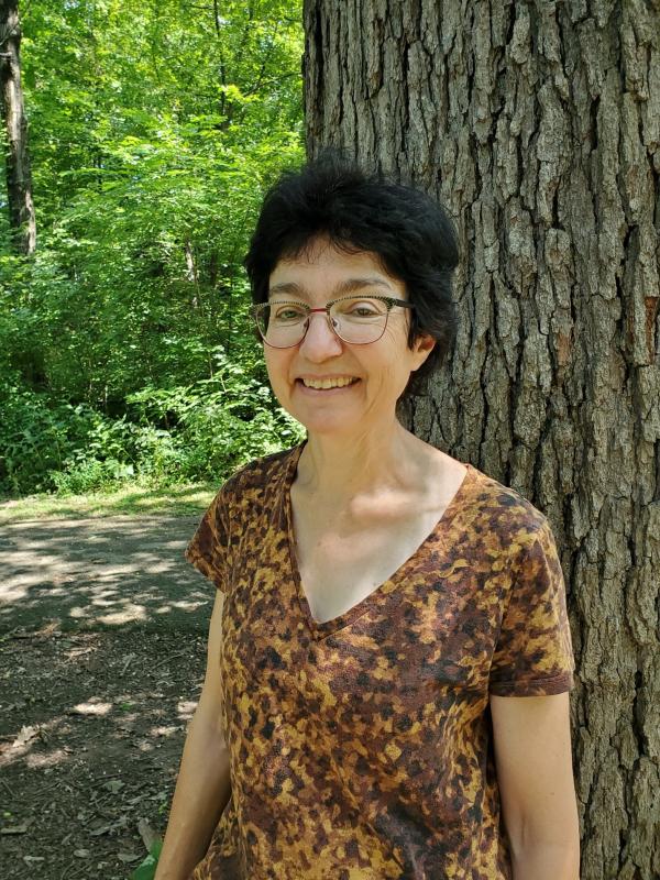 UCLA CCS talks|Patricia Sieber夏颂:Playing with POV(10/19)
